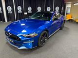 Ford Mustang Basis Fastback USA IMPORT !!!!!!! - : Import