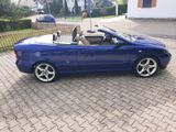 Opel Astra G Cabrio "Bertone" - Opel: Cabrio, Bertone