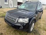Land Rover Freelander 2 S eD4 Leder Xenon - Land Rover Freelander aus 2013