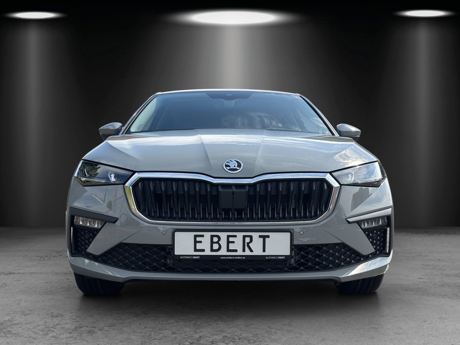 Fahrzeugabbildung SKODA Scala Tour 1,0 TSI 85 kW DSG