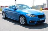 BMW 220i Cabrio M-Sport Paket Tempo Xenon Leder - BMW 220 in Nürnberg
