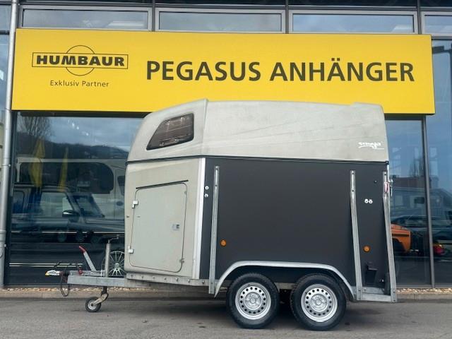 Sluis Stinger Pferdeanhänger Aluboden SK