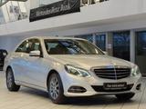 Mercedes-Benz E 220 BlueTEC Elegance COMAND+LED+PDC+TOTWINKEL+ - Mercedes-Benz E 220: Elegance