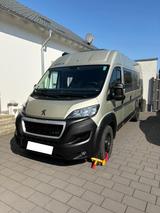 Bravia Swan 636 - Bravia Kastenwagen