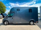 Fiat Ducato Böckmann 2 Pferdetransporter - Tier- & Pferdetransport für 2 Pferde