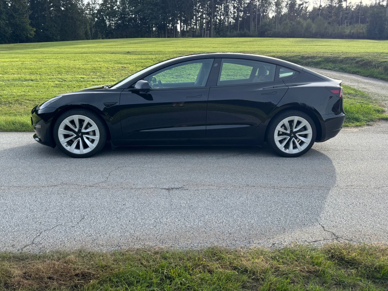 Tesla Model 3 Long Range Dual AWD RYZEN ALLRAD 19"MWST imagem 2