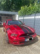 Ford Mustang, 3,7L V6, Saleen Umbau - Ford Mustang Gebrauchtwagen in Bremen