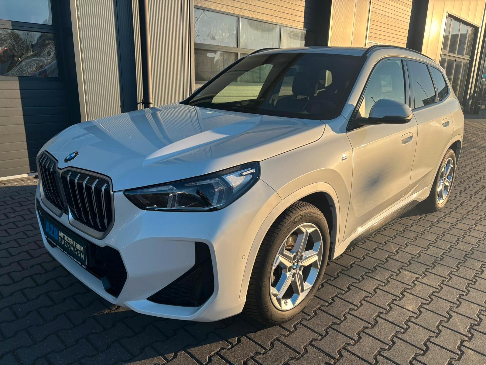BMW X1 sDrive 20i M SPORT AUT PANO HUD DAB LED