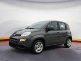 Fiat New Panda 1.0 Hybrid *5 Sitzer Klima Komfort* - Fiat New Panda in Bochum