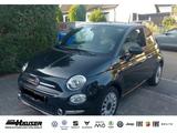 Fiat 500 Dolcevita 1.0 GSE TEMPOMAT PDC APPLE ANDROID - gebrauchte Fiat Kleinwagen