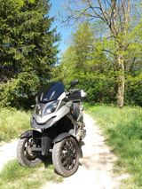 Quadro qv3 - Tausch gegen Transporter möglich - Offers matching your search criteria