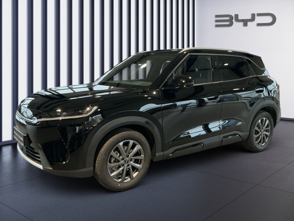 BYD ATTO 2