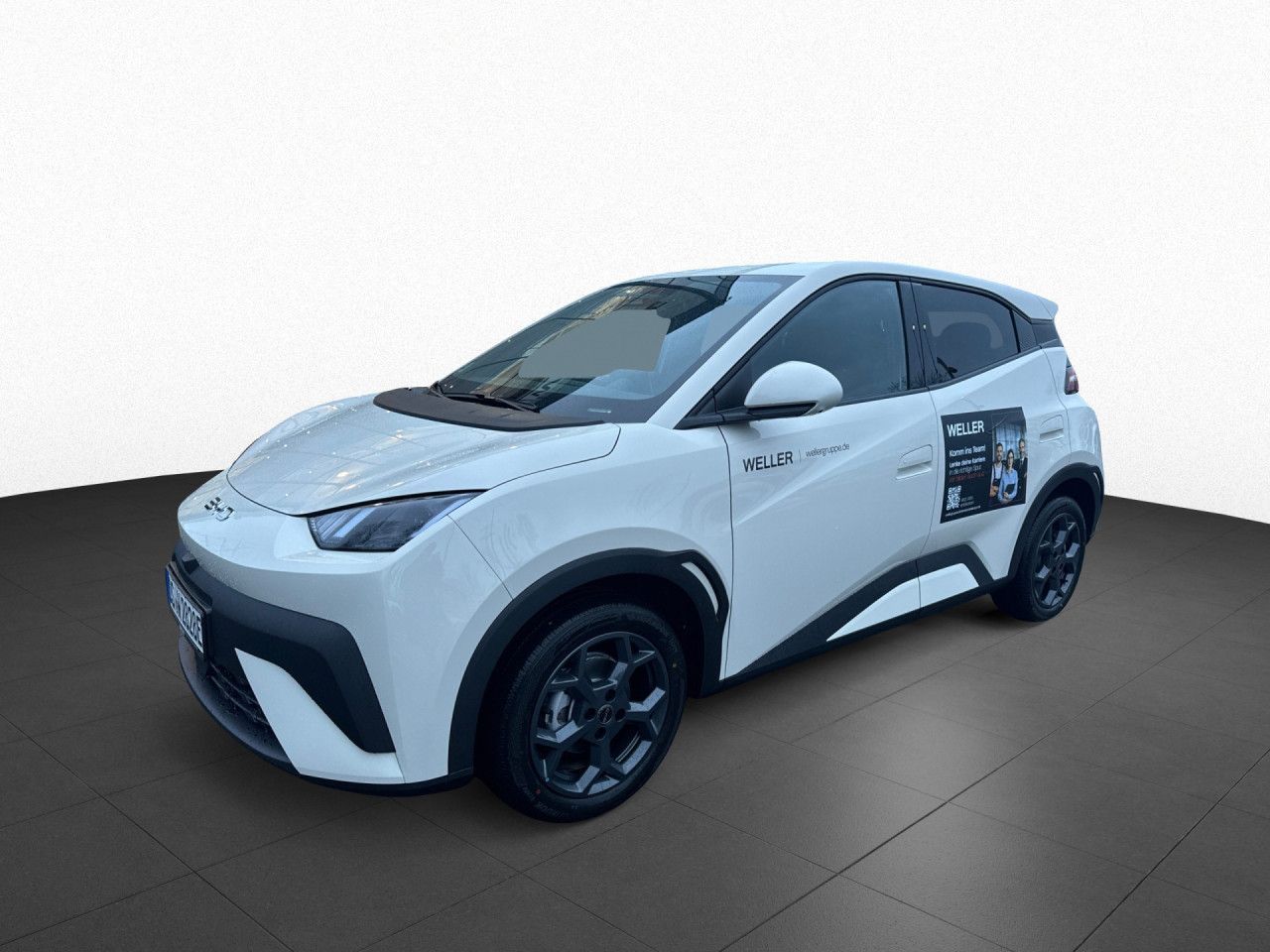 BYD DOLPHIN SURF
