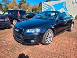 Audi A3 Cabriolet Ambition*LEDER*XENON*NAVI*SHZ*GARAN - Audi A3 aus 2011: Cabrio