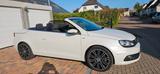 Volkswagen Eos 2.0 TDI DSG Cup BlueMotion Technology Cu...
