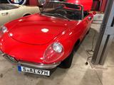 Alfa Romeo Spider Duetto Rundheck 1600 ungeschweißter Traum - Alfa Romeo aus 1966