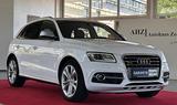 Audi SQ5 Competition/quattro/ACC/AHK/STANDHZ/RFK - weiße Audi SQ5
