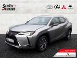 Lexus UX 300e Exe LED ASSI ACC KAM Leder NAVI - Lexus UX Tageszulassungen