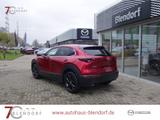 Mazda CX-30 Homura 140 Automatik Navi|Alexa|LED - Mazda CX-30 in Bochum
