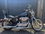 Harley-Davidson XL 883 Sportster Custom - Angebote