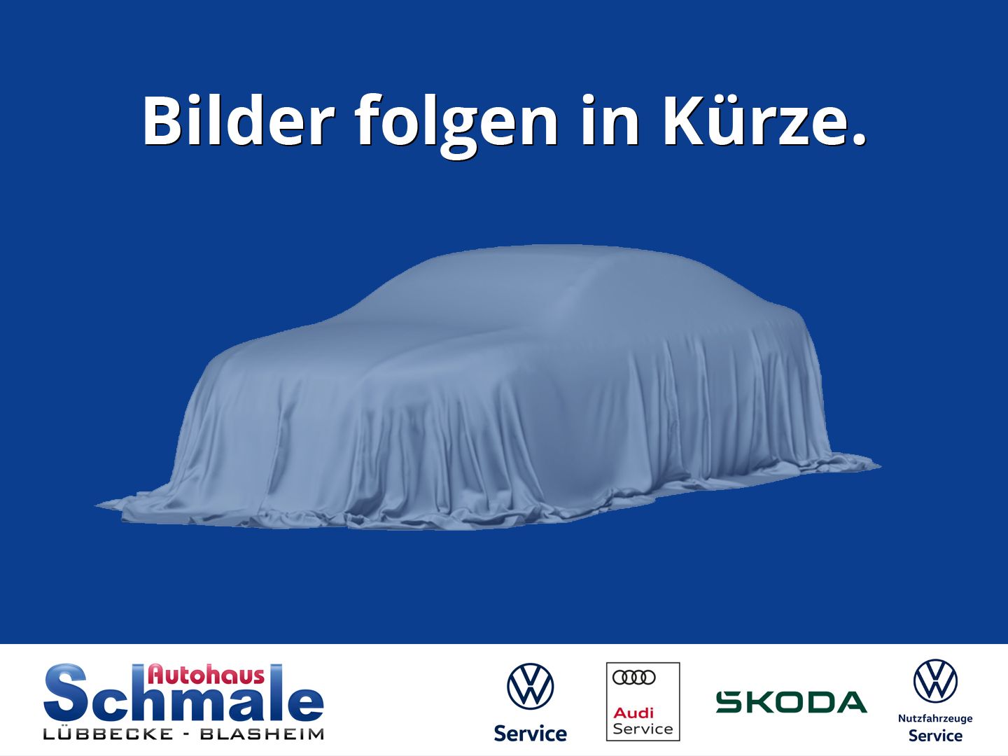 Skoda Fabia Ambition 1.0 TSI Klima Rückfahrkamera Smar