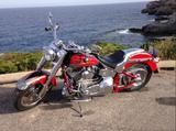 Harley-Davidson FAT BOY CVO FLSTFSE - Offers