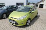 Ford Fiesta Titanium Allwetterreifen - Ford Fiesta: Grün