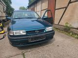Opel opel vectra a bj 94 tüv 8.25 bis zum 20.06... - Opel Vectra aus 1994