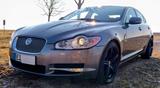 Jaguar XF 3.0 V6 Luxury  - Jaguar XF aus 2010: Luxury