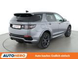 Land Rover Discovery Sport P300e Hybrid SE AWD Aut.*LED*ACC - Land Rover Discovery Sport SE mit Hybrid-Antrieb (Benzin/Elektro)