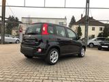 Fiat New Panda 1.0 Hybrid *5 Sitzer Klima Komfort* - Fiat New Panda aus 2024
