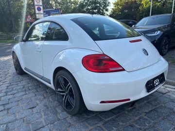 Volkswagen Beetle - 7