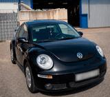 Volkswagen VW Beetle Freestyle 1.9 TDI - Sportausstat... - Volkswagen New Beetle: Freestyle