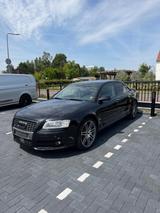 Audi S8 5.2 V10 | VOLL | Ceramic | TÜV 06/2028 - Audi S8: V10