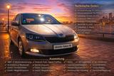 Skoda Fabia Apple Android PDC Notbremssystem Sound SHZ