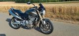 Honda Hornet CB600F PC36 - HONDA 2006 HORNET 600