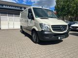 Mercedes-Benz Sprinter II Kasten 316 CDI/Tüv neu automatic - Mercedes-Benz Sprinter mit Diesel-Antrieb: Kleinbus