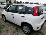 Fiat Panda 5-Sitzer City Paket - Fiat Panda: Sitzer