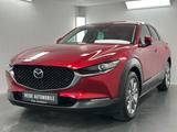 Mazda CX-30 Selection Automatik Kamera Acc Led Dab - Mazda CX-30 Gebrauchtwagen
