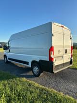 Opel Movano L3H2 - Opel: Firmenfahrzeug