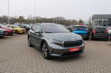 Skoda Enyaq 60 Suite - Skoda Enyaq in Hannover