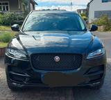 Jaguar F-Pace 20d AWD Pure Automatik 20Zoll AHK Pano - Jaguar F-Pace: Pure