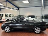 Opel Astra G Cabrio 2.2 16V Xenon Leder Sitzh - Opel Astra: 3 Türen