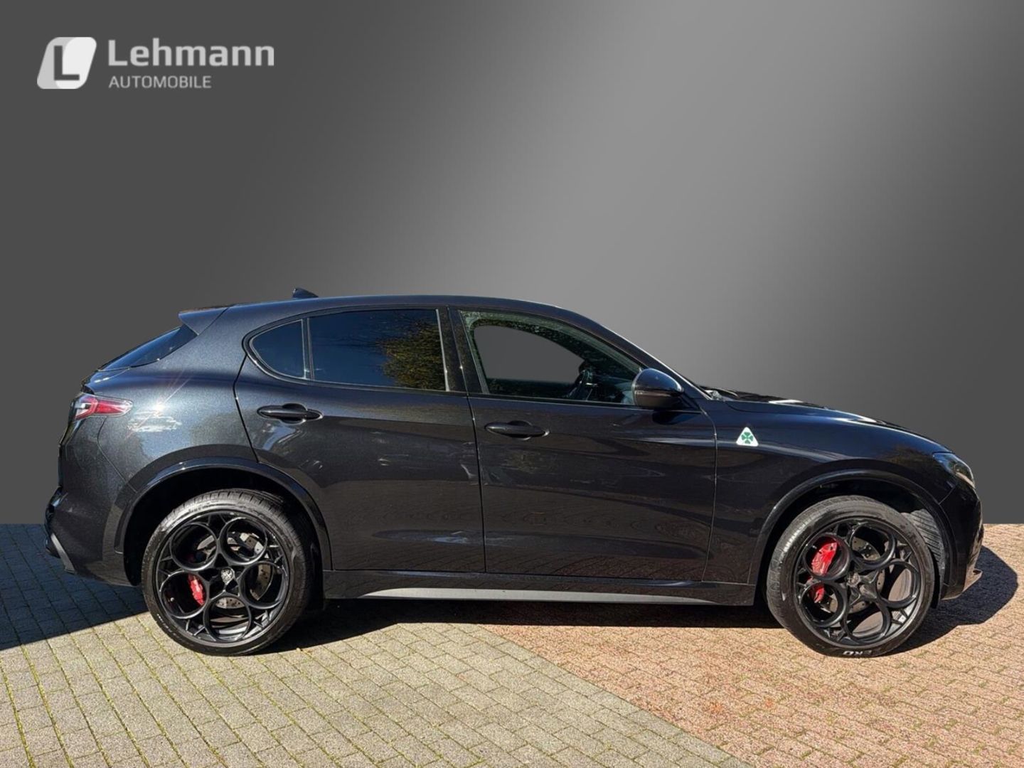Fahrzeugabbildung Alfa Romeo Stelvio Quadrifoglio Q4 VOLL inkl. Auspuffanlage