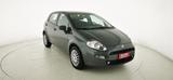 Fiat FIAT Punto 1.2 8V 5 porte Street - Fiat Punto: Street