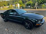 Ford Mustang 4.6 Liter V8 Bullit  1Hand Unfallfrei - gebrauchte Ford Mustang aus dem Jahr 2008