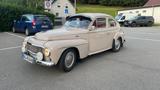 Volvo PV 544 Buckelvolvo B16 Sport - Volvo: Pv 544