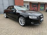Audi A5 3.2 FSI S tronic quattro Cabriolet - - Audi A5 aus 2010: 3.2