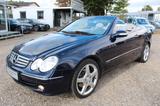 Mercedes-Benz CLK 200 Cabrio K*ELEGANCE*Leder*AMG Felgen*Tempo - blaue Mercedes-Benz CLK 200