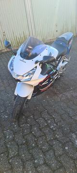 Honda CBR SC50 Fireblade  - HONDA FIREBLADE SC50